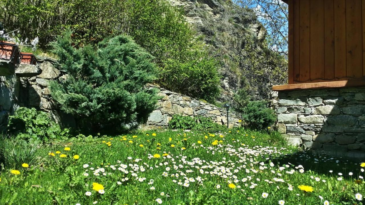 Il Rifugio Della Volpe Apartment Introd Exterior photo
